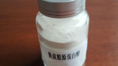 中性蛋白酶在魚鱗膠原蛋白肽生產(chǎn)中的應(yīng)用